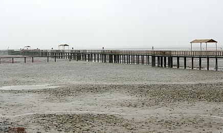 First 4 Figures将推出《动物森友会》狸克模型